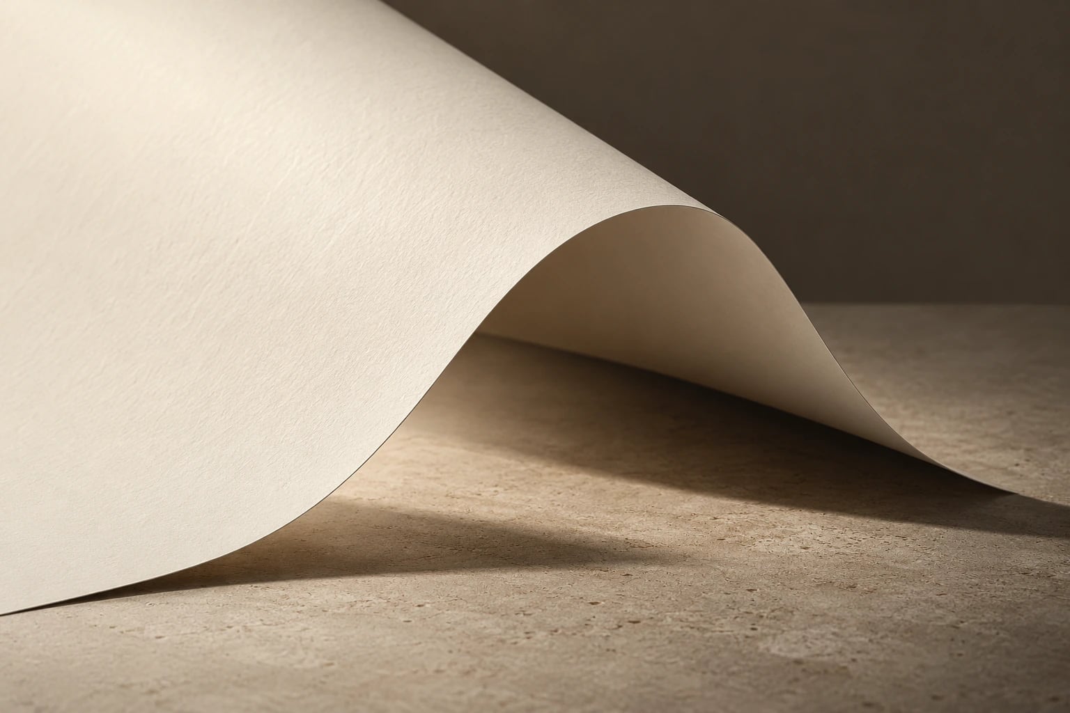 A single ivory sheet folded into a soft sculptural curve